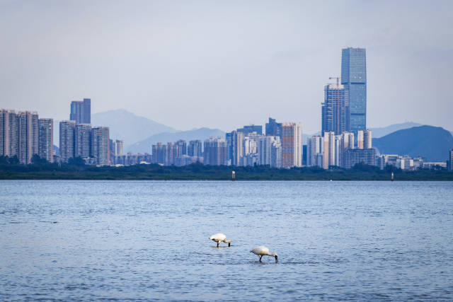 45426c7fd0c6aa36ad9df0f7a037afe8_1eb70445fa.jpg 45426c7fd0c6aa36ad9df0f7a037afe8_1eb70445fa.jpg